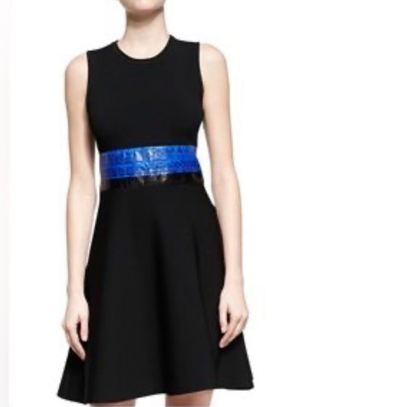 PROENZA SCHOULER $990 Retail Black Rattlesnake Trim Fit & Flare Dress Size XS